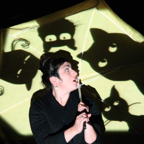 La mouette et le chat