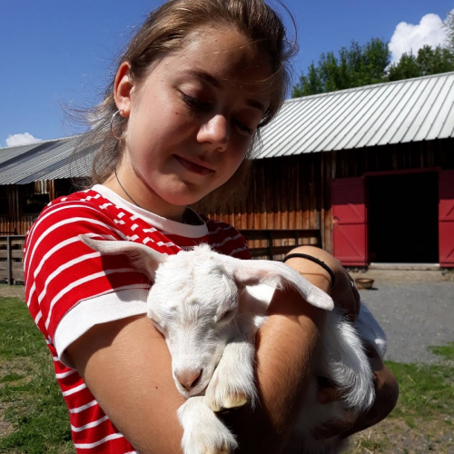 Chèvrerie des Monts Dore