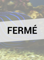 Aquarium tropical des Pyrénées - FERMÉ