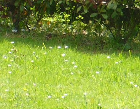 Ma Grand-Mère et moi 2014 5