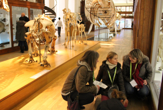 Parcours jeu La Nuit au Musée au Muséum d'Histoire Naturelle de Nantes : 8