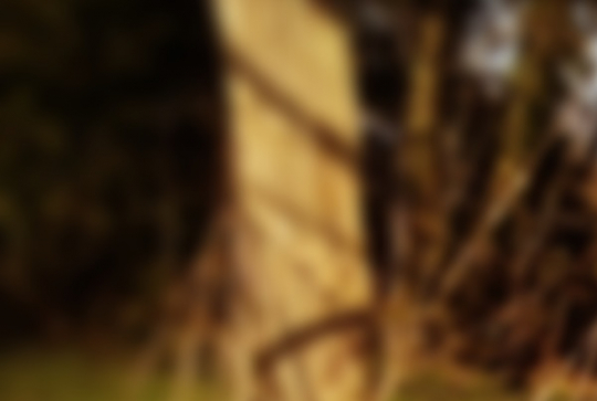 Ma Grand-Mère et moi 2014 17