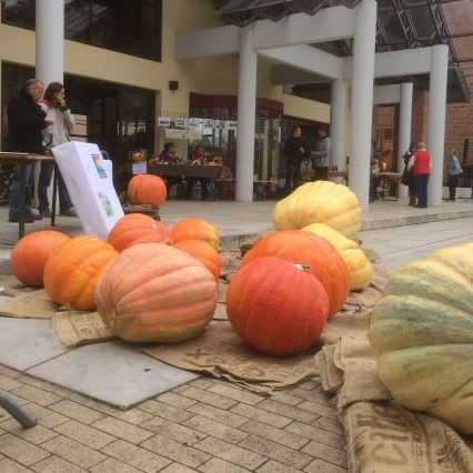 Fête de la citrouille à Roscheim