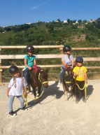 Sun Équitation : centre équestre et poney club à Nice