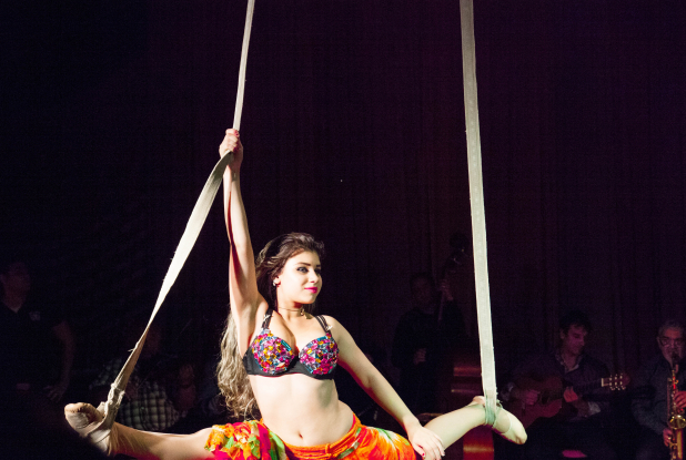 Voleurs de poules - cirque Romanés