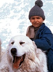 Belle & Sébastien la série