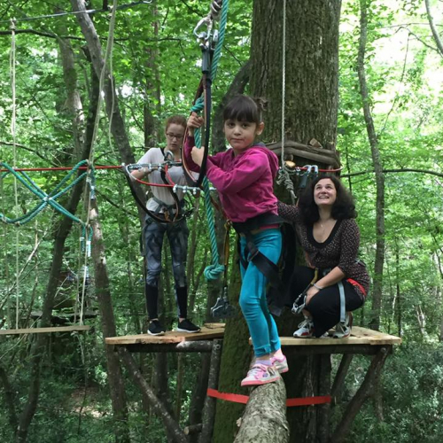 Arbor et Sens - 2017