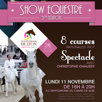 show equestre