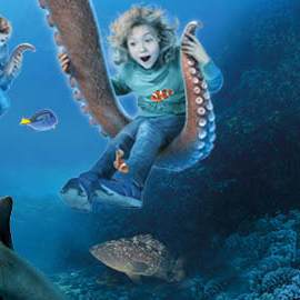 Profitez des grandes marées au Grand Aquarium de St Malo