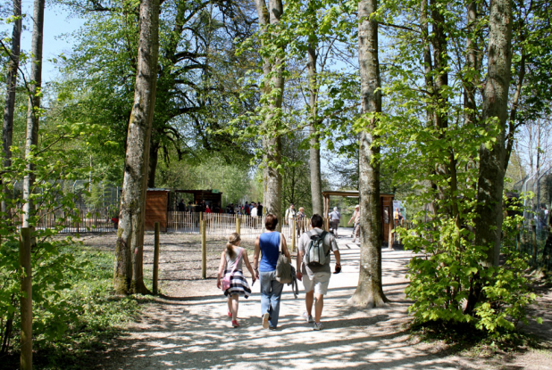 Parc des felins : en famille