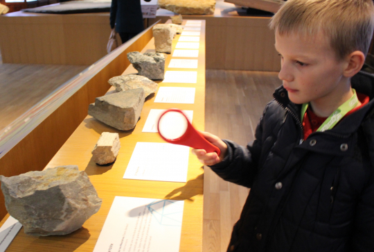 Parcours jeu La Nuit au Musée au Muséum d'Histoire Naturelle de Nantes : 3