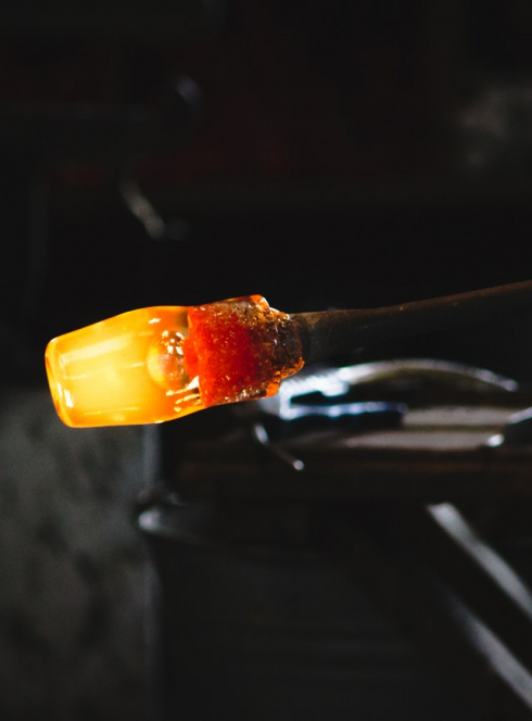 Conférences junior - Science à croquer