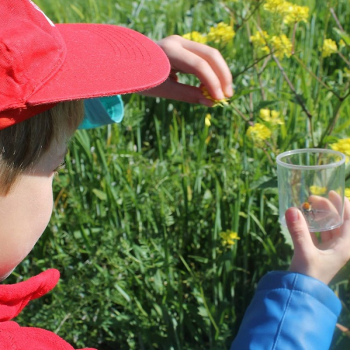 L'Incroyable Jardin du Migron - Atelier enfant