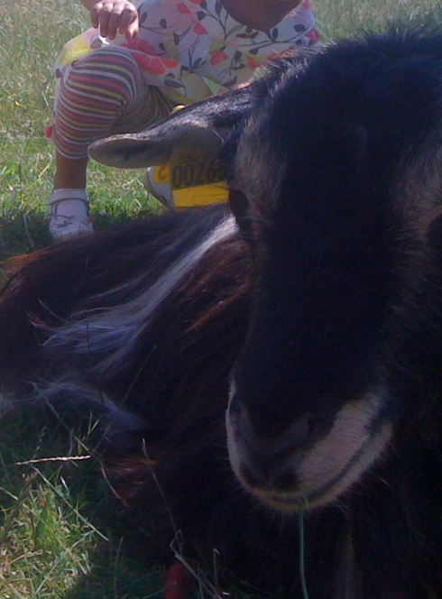 Ferme de la Ranjonnière