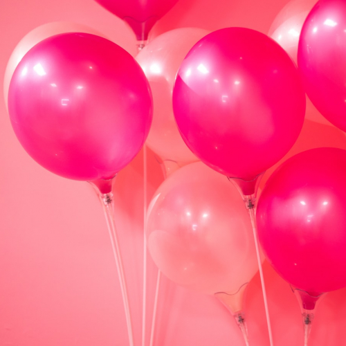 Anniversaire à Kizou Aventures