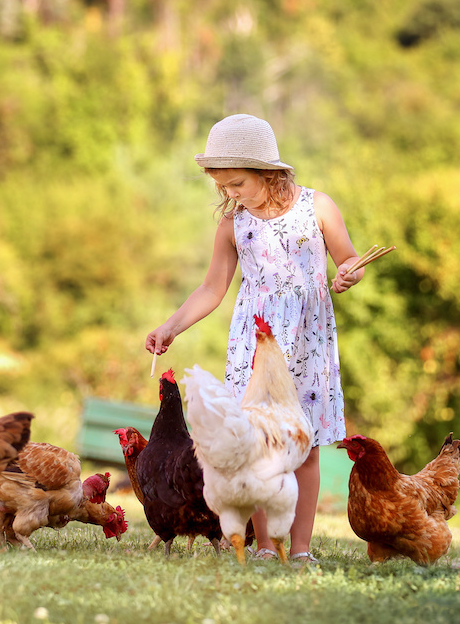 Top des fermes pédagogiques près de Nantes en famille