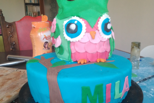 Gâteau hibou