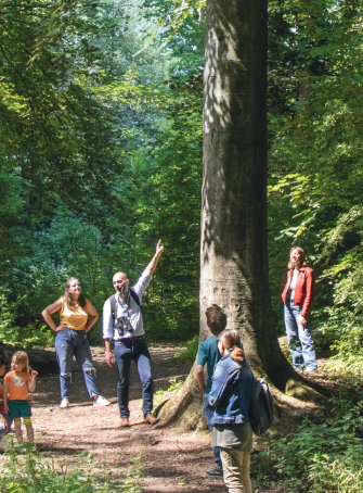 Festival de l’Arbre et des Chemins ruraux