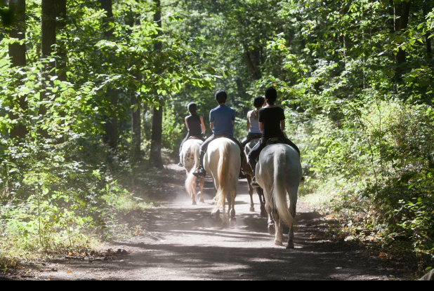 Parc naturel régional de la Haute Vallée de Chevreuse - Balade à cheval