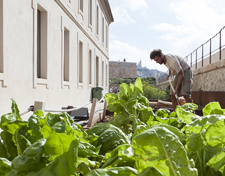 Un jardinier au travail