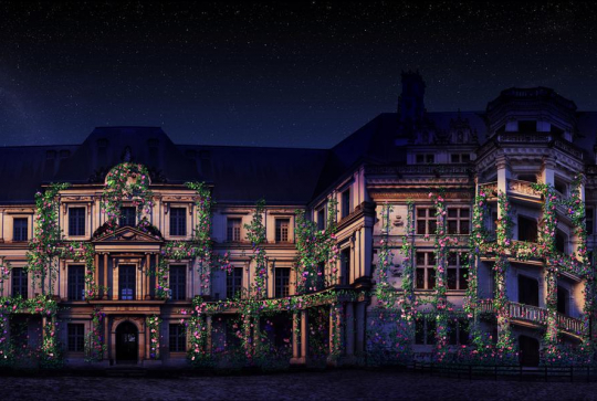 Son et lumière château de Blois