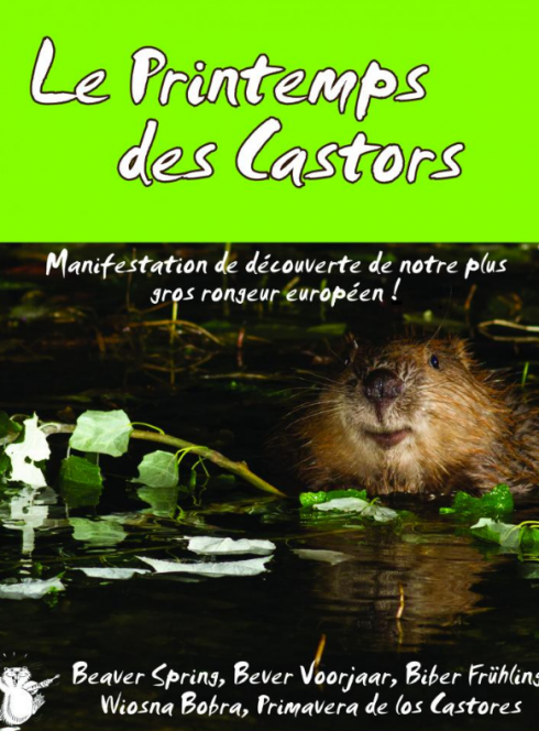 Le Printemps des castors