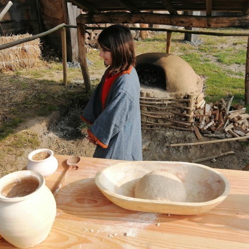 Arkéos - Musée parc archéologique