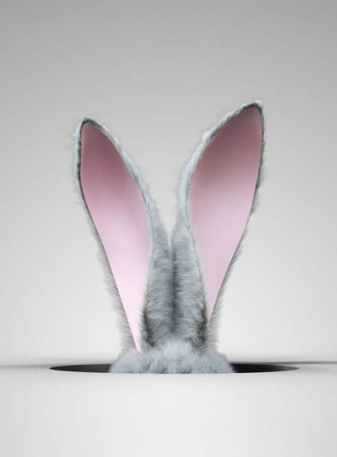 Clair est la fontaine - Muriel Mayette-Holtz : Des oreilles de lapin