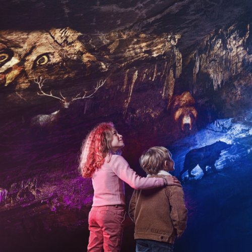 Grottes de Han - Origin