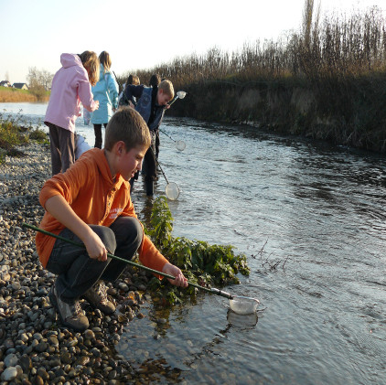 Le petit monde de l'eau
