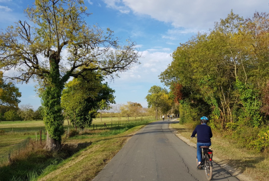 Jeunes faisant du vélo