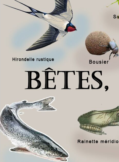 Bêtes, pas bêtes - Cie Show Devant