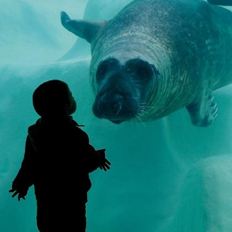 Aquarium de Biarritz