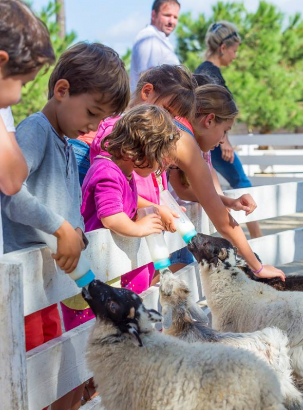 La Coccinelle parc animalier enfants (Bordeaux) Citizenkid