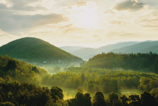 Massif des Vosges : La brume le matin sur la forêt