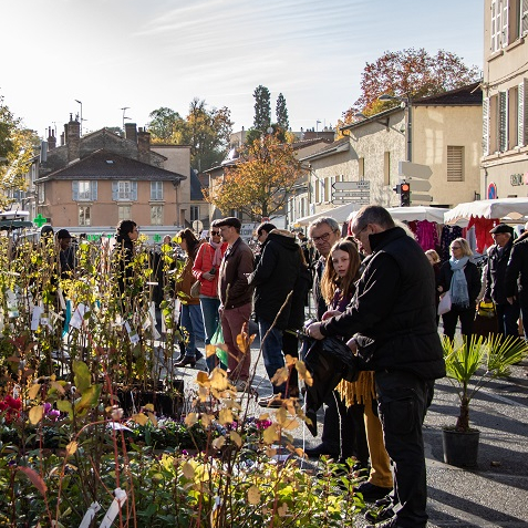 Foire de la Sainte-Catherine à Saint-Genis-Laval 2023