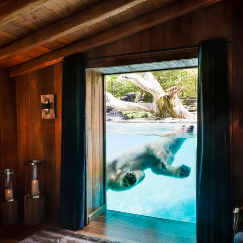 Top des hébergements insolites à tester pour les vacances : roulotte