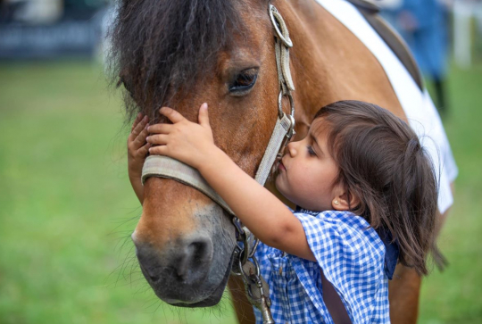 L'Hippodrome en Famille