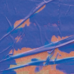 la biennale d'art contemporain à lyon