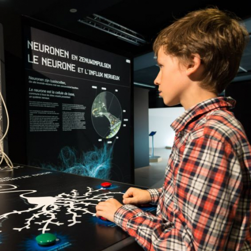 Cervorama : enfant à Cap Sciences