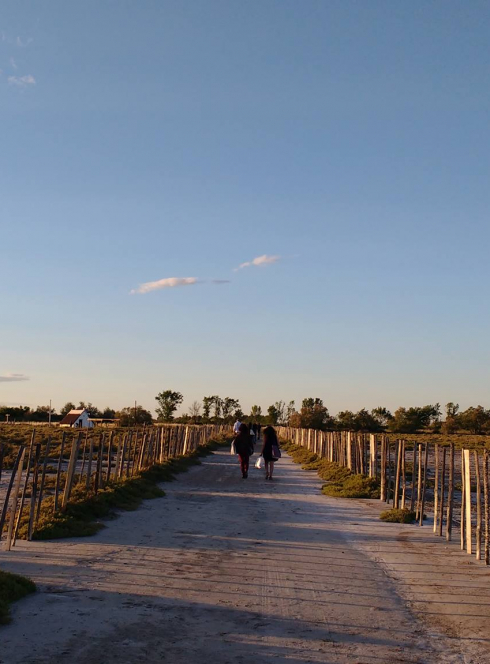 Noël Gardian au Musée de la Camargue
