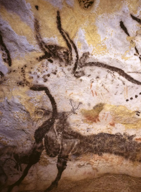 Expo Lascaux à Cap Sciences