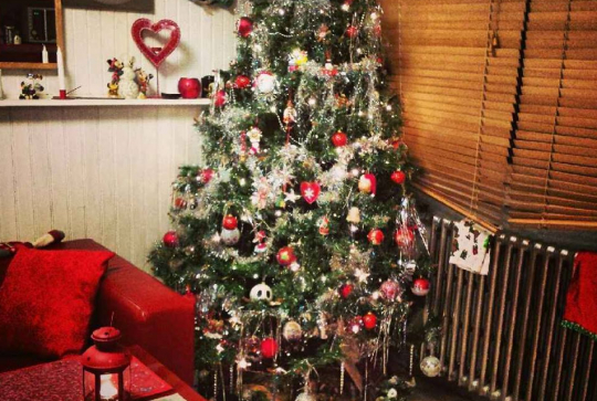 Concours photo mon beau sapin 2014 - sandra