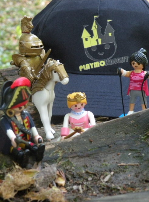 Expo-vente Playmobil à Oullins