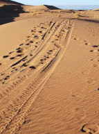 Expo Déserts africains, terre d'imaginaire