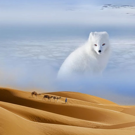 Expo Déserts à la Grande Galerie de l'Evolution