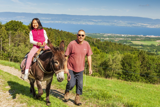 Les Alpes du Léman : Balade à dos d'âne