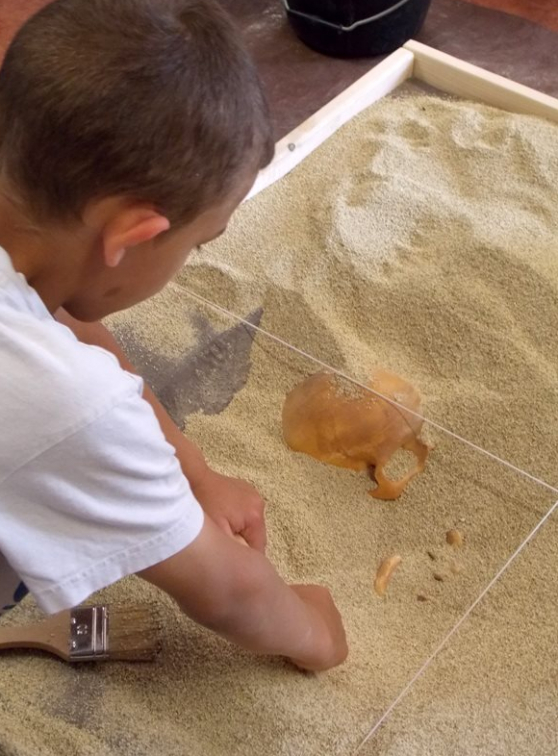 Paléopolis - Fouille