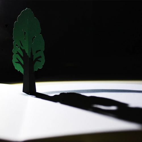 Popa - Cie Le Pied en dedans