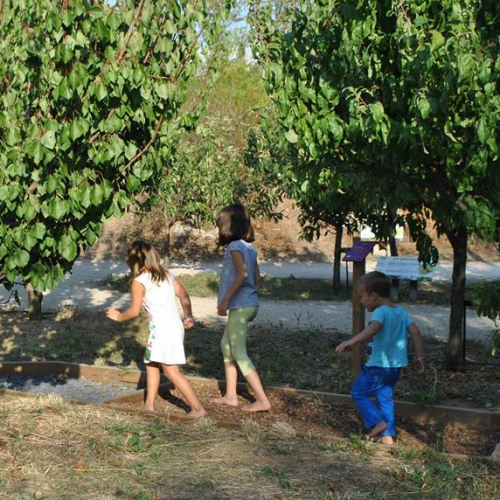 Chasse aux oeufs epicurium